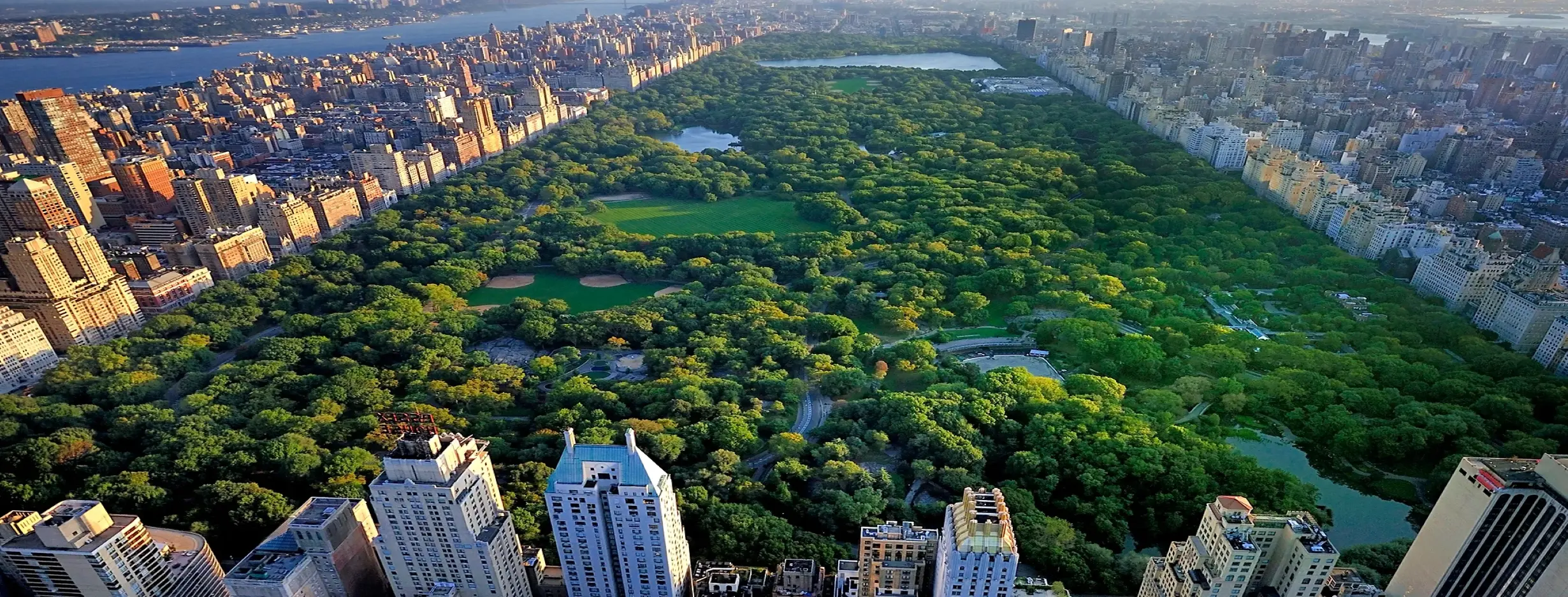 Image for Central Park Escape